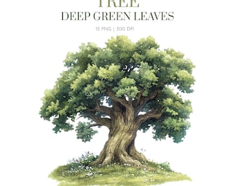 Tree Deep green leaves clipart, watercolor trees clipart, forest nature greenery,wedding invitation, original hand painted, Watercolor trees