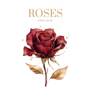 Rosas clipart Rosas em aquarela, Clipart de rosas cor de rosa, Buquê de rosas, Clipart de rosas, Dia dos namorados, rosa colorida, Rosas brancas, Cartão de casamento
