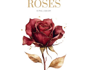 Roses clipart Watercolor roses, Pink Roses Clipart, Roses bouquet, Roses clipart , Valentine day, colorful rose, White Roses, Wedding Card