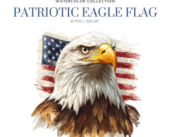 アメリカ国旗の白頭鷲 PNG、愛国心、7 月 4 日、白頭鷲のクリップ
