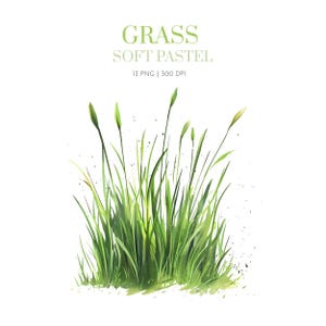 Watercolor  Grass Bunch Clipart, Green Grass Clipart,Grass Graphic Design clipart png,Grass clip art for kid,Soft Pastel Grass Nursery