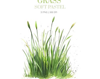 Watercolor  Grass Bunch Clipart, Green Grass Clipart,Grass Graphic Design clipart png,Grass clip art for kid,Soft Pastel Grass Nursery