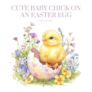 Clipart d'éclosion de poussin de Pâques, oeuf de poule, clipart aquarelle de Pâques, clipart poulet, oeuf de Pâques crack, créations en papier, oeuf de Pâques poussin png
