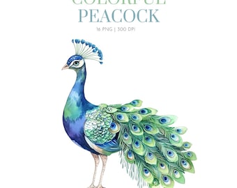Aquarel schattige kleurrijke Peacock clipart, aquarel Peacock clipart, Peacock clipart png, Peacock afbeeldingen, Peacock bird clip art png