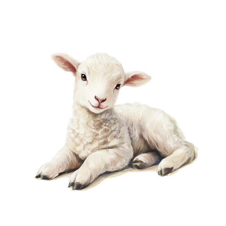 May include: A digital illustration of a fluffy white lamb lying down. The lamb has a sweet expression with brown eyes and pink ears. The artwork is set against a clean white background, highlighting the lamb's soft, textured wool.