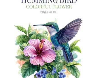 Imágenes prediseñadas de colibríes de acuarela, flores coloridas, imágenes prediseñadas de colibríes de acuarela, colibrí floral png, imágenes prediseñadas de flores de colibrí