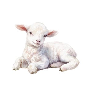 May include: Watercolor illustration of a white lamb lying down. The lamb has fluffy, textured fur, pink ears, and brown eyes. The lamb is depicted on a white background, creating a soft and gentle aesthetic. The artwork is likely intended for children's decor or Easter-themed products.
