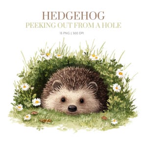 Cute Hedgehog peeking from hoe Clipart, Watercolor Hedgehog clipart, Hedgehog clipart png, HedgeHog images png, Hedgehog Design clipart png