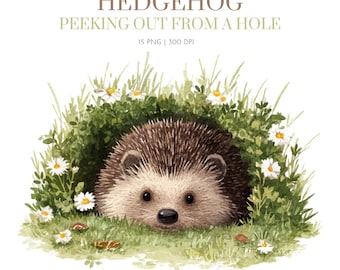 Cute Hedgehog peeking from hoe Clipart, Watercolor Hedgehog clipart, Hedgehog clipart png, HedgeHog images png, Hedgehog Design clipart png