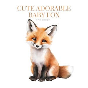 Bébé renard bébé clipart, clipart renard, petit renard aquarelle clipart, clipart aquarelle bébé renard, adorable renard png, animal sauvage, images de renard