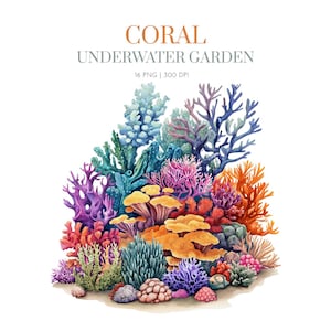 Watercolor Coral Under the sea garden Clipart, Coral reef PNG, Ocean Backdrop, Colorful coral, Sea Plants, Underwater Ocean Clip Art, Sea