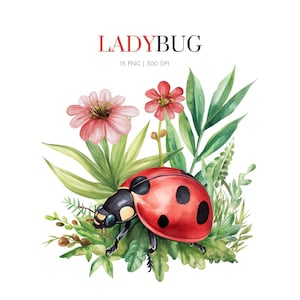 Watercolor Ladybug Clipart,Boho Ladybug Clipart,Cute Ladybug Clipart,Ladybug Flower Clipart,Ladybug floral clipart png,Ladybug pastel floral