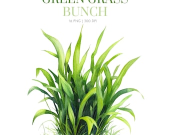 Watercolor Green Grass Bunch Clipart, Green Grass Clipart,Grass Graphic Design clipart png,Grass clip art for kid,Pastel Grass Nursery style
