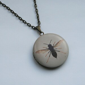 May include: A bronze chain necklace with a round locket featuring a black and brown wasp illustration.