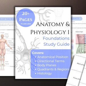 Anatomy Physiology 1 Study Guide, Nursing Exam Prep, Practice Test (Digital Download)