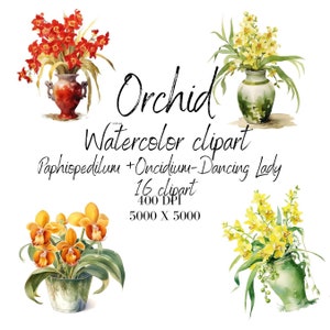 Orchid watercolor Clipart orchid printable download transparent PNG Commercial use