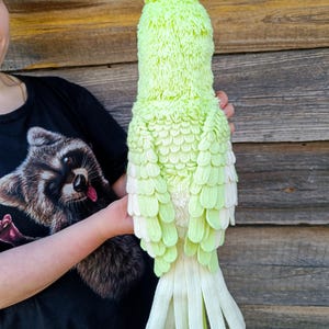 May include: A large, handmade parrot plushie in shades of light green and white. The plush bird features a textured, feathery body, a crest, and a fan-shaped tail. The parrot is held against a wooden background.