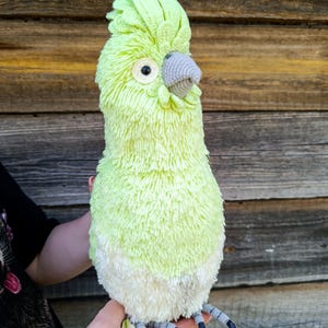 May include: A handmade, plush parrot in shades of light green and white. The bird has a textured, feathery appearance, a gray beak, and black and gray feet. The parrot is held in a person's hands against a wooden background.