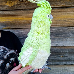 May include: A plush, lime green and white parrot with a detailed, textured design. The bird has a prominent crest, a gray beak, and black claws. The soft toy is held against a wooden background.