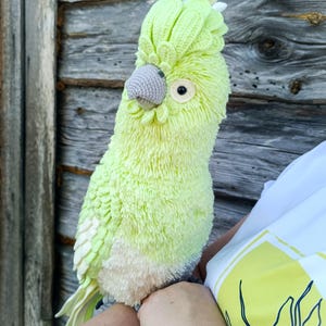 May include: A handmade, light green crochet parrot with a fluffy texture. The bird has a gray beak, a yellow eye, and white accents on its head and wings. The parrot is being held by a person.