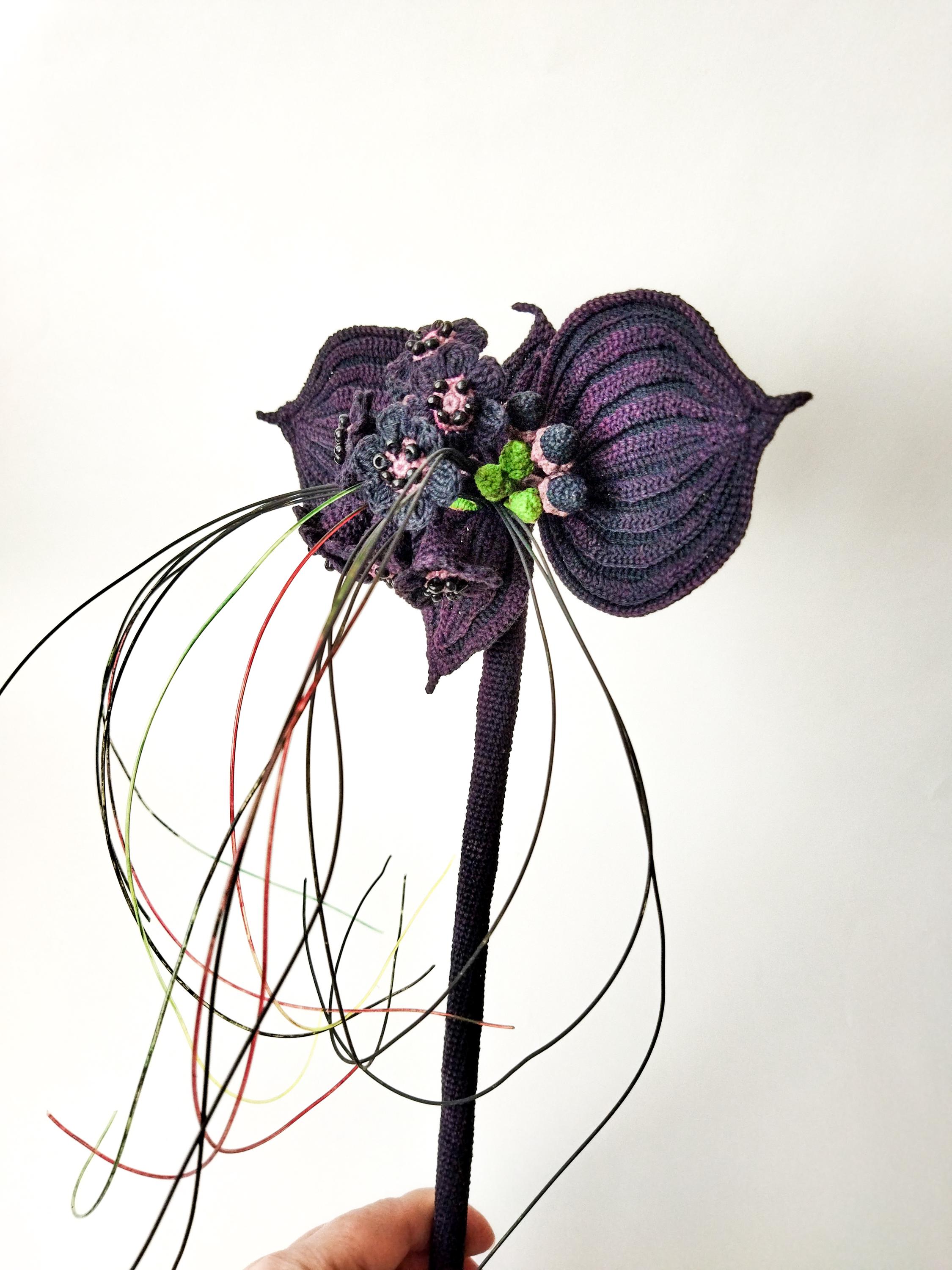 Tacca chantrieri - Etsy 日本