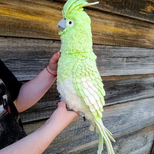 May include: A handmade, plush parrot in shades of green and white. The bird has a textured, feathery appearance, with a prominent crest and a gray beak. The parrot is held against a wooden background, showcasing its detailed craftsmanship.