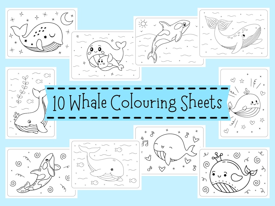 Minecraft Whale Colouring In Whale Colouring Sheets - Whale Colouring for Children - Whale Coloring ...