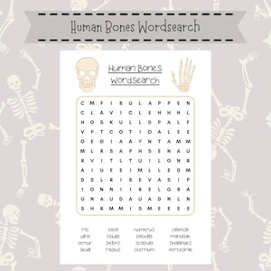 Human Bones Word Search: Skeleton Activity Game (PDF Printable Download)