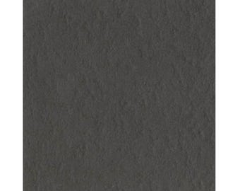 Dark Gray - 12X12 Cardstock - Bazzill Prismatics Collection - pack of 25 sheets