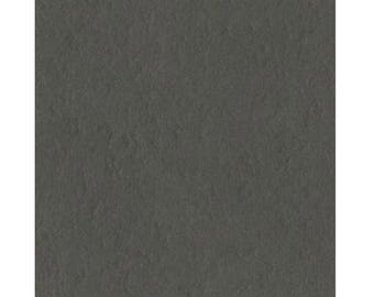 Zinc - 12X12 Cardstock - Bazzill Prismatics Collection - pack of 25 sheets