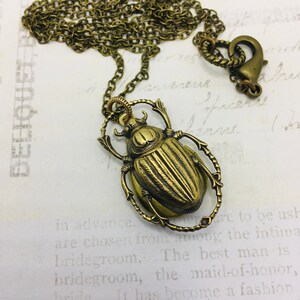 Brass Beetle Locket Necklace: Secret Compartment Insect Jewelry image 8