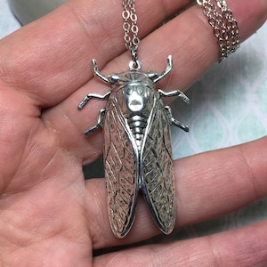 Hidden Locket Necklace CICADA Large Secret Compartment Bug Entomology Beetle Winged Insect SILVER Bug Locket Unique image 8