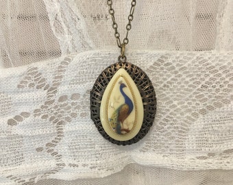 Oval Brass Peacock Locket Vintage and Rare Cabochon Lucite West Germany Tear Drop Shape Bird of Paradise 1950s Vintage  Peacock Jewelry