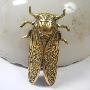 Grande broche cigale : épingle insecte en laiton doré, bijoux d'entomologie