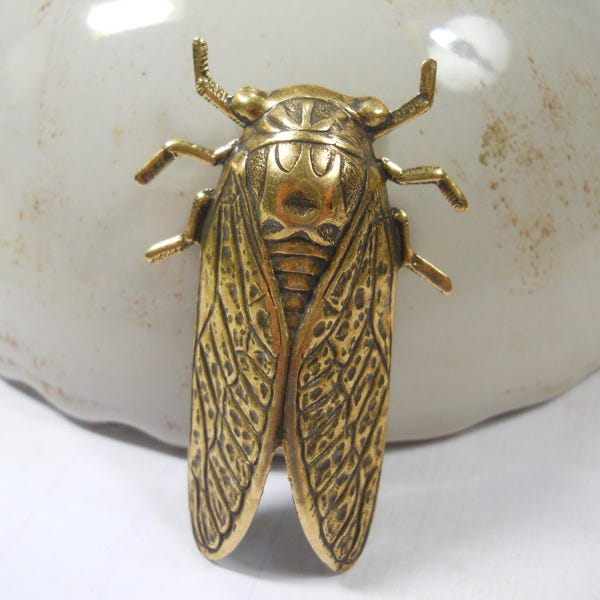 Insect Brooch Large Cicada Bug Pin Golden Brass  Garden Entomology Jewelry Big Bug Garden Lover's Gift  Statement Brooch