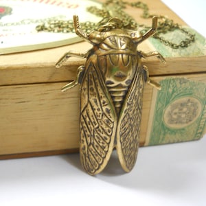 Puede incluir: Un collar con un colgante de cigarra dorado. El colgante est&aacute; detallado con alas intrincadas y un cuerpo texturizado. El collar est&aacute; encima de una caja de madera con una etiqueta verde.