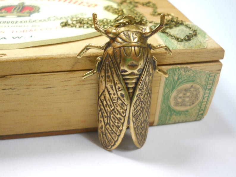 Puede incluir: Un collar con un colgante de cigarra dorado. El colgante est&aacute; detallado con alas intrincadas y un cuerpo texturizado. El collar est&aacute; encima de una caja de madera con una etiqueta verde.