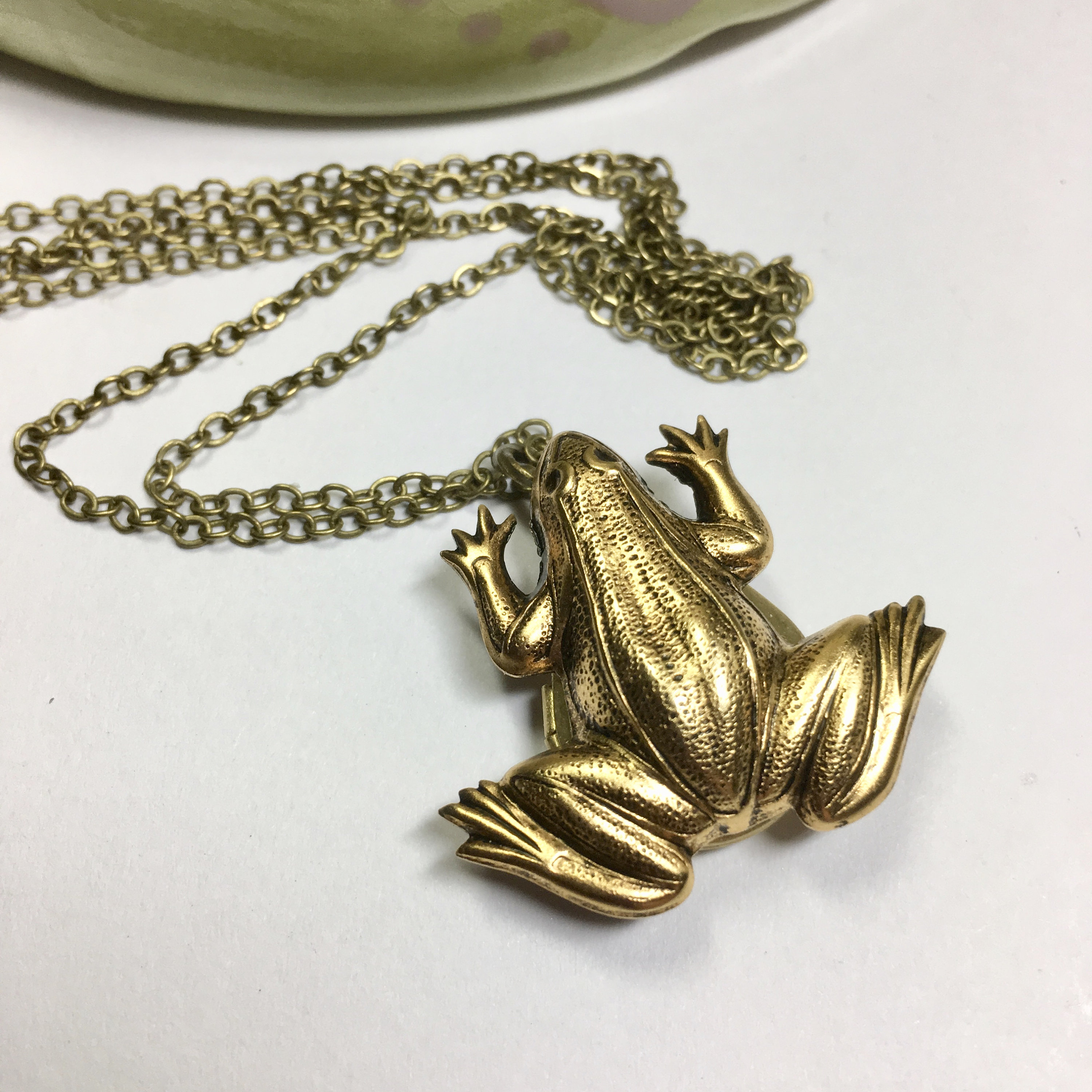 Frog Locket Solid Brass Nature Amphibian Unique Locket Hidden
