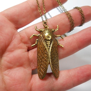 Puede incluir: Un collar dorado con un colgante de cigarra. La cigarra est&aacute; detallada con alas texturizadas y una cabeza en relieve.
