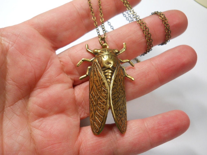 Hidden Locket Necklace CICADA Large Secret Compartment Bug Entomology Beetle Winged Insect Golden Brass Bug Locket Unique image 2