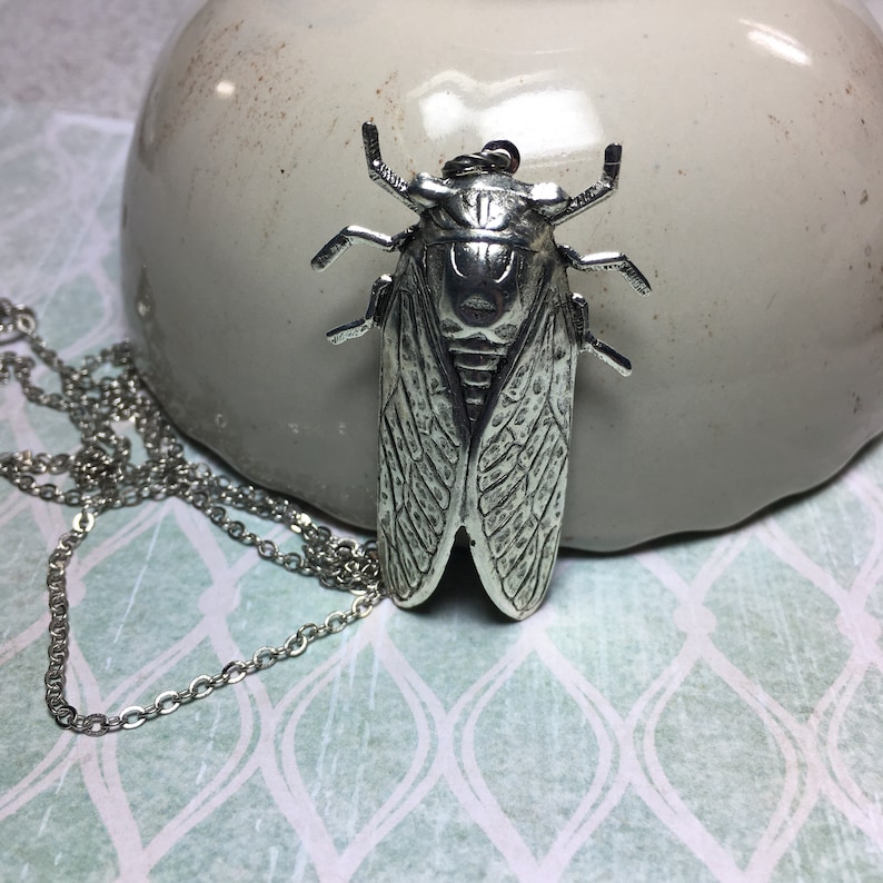 Hidden Locket Necklace CICADA Large Secret Compartment Bug Entomology Beetle Winged Insect SILVER Bug Locket Unique image 5