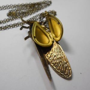Puede incluir: Un collar dorado con un colgante de cigarra. El colgante es un medall&oacute;n que se abre para revelar dos peque&ntilde;os compartimentos. Las alas de la cigarra son detalladas y texturizadas.