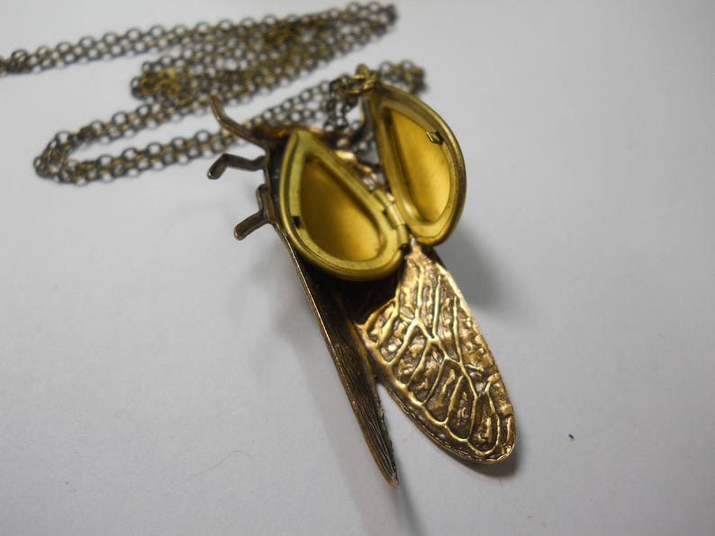 Puede incluir: Un collar dorado con un colgante de cigarra. El colgante es un medall&oacute;n que se abre para revelar dos peque&ntilde;os compartimentos. Las alas de la cigarra son detalladas y texturizadas.