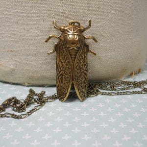 Hidden Locket Necklace CICADA Large Secret Compartment Bug Entomology Beetle Winged Insect Golden Brass Bug Locket Unique image 1