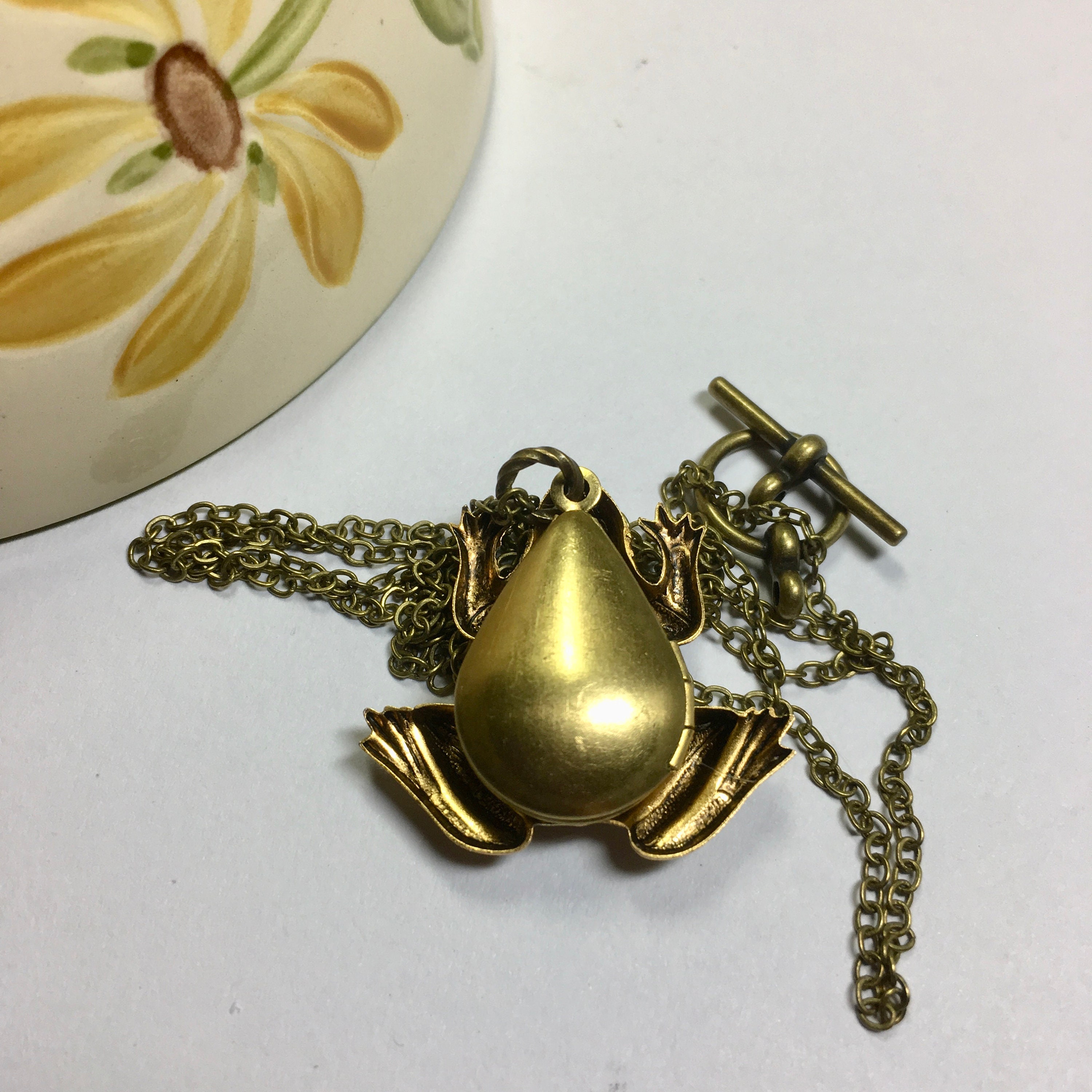 Animal Lockets Frog Locket Solid Brass Nature Amphibian Unique Locket Hidden Secret ...