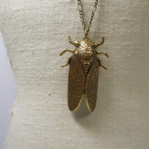 Hidden Locket Necklace CICADA Large Secret Compartment Bug Entomology Beetle Winged Insect Golden Brass Bug Locket Unique image 3