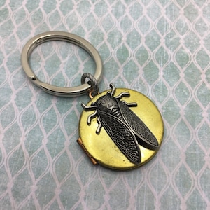 Cicada Bug Locket Keychain Vintage Brass Locket Insect Silver Charm Oval Silver Key Ring Photo Holder Entomology Unique Gift
