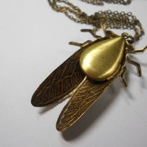 Puede incluir: Un collar con un colgante de color dorado con un dise&ntilde;o detallado de cigarra. Las alas de la cigarra tienen un patr&oacute;n intrincado y el cuerpo es un medall&oacute;n redondo abierto.