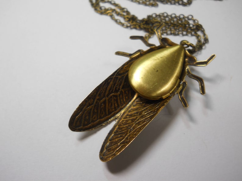 Puede incluir: Un collar con un colgante de color dorado con un dise&ntilde;o detallado de cigarra. Las alas de la cigarra tienen un patr&oacute;n intrincado y el cuerpo es un medall&oacute;n redondo abierto.