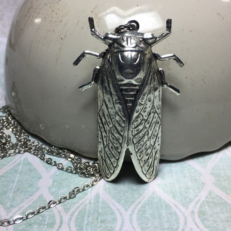 Hidden Locket Necklace CICADA Large Secret Compartment Bug Entomology Beetle Winged Insect SILVER Bug Locket Unique image 7